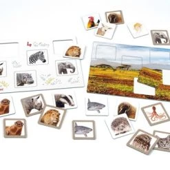 Clementoni Spelend Leren Dierenbingo Educatief Spel -Goedkope baby-en-kleuterspelletjes winkel 550x365 3