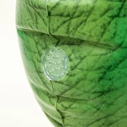 Bestway Water Sprinkler Dinosaur -Goedkope baby-en-kleuterspelletjes winkel 550x366 80