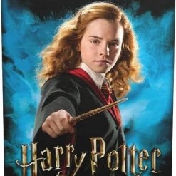 Arcane Tinmen Sleeves Hermione Granger
