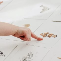 Dierenkaarten | Oceaandieren | Zeedieren | Flashcards Voor Kinderen | 20 Stuks | Teejays -Goedkope baby-en-kleuterspelletjes winkel 550x825 22